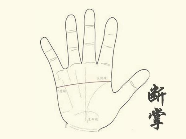 (通过手相论断掌)       断掌是指生命线,智慧线,感情线三条线的起点