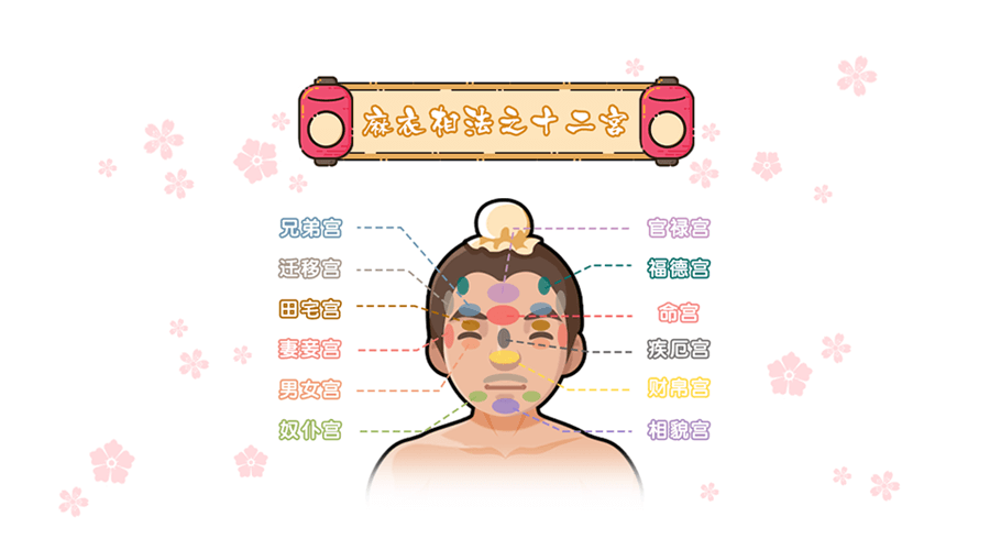 《麻衣神相》透过十二宫,轻松教你识人辨人,看穿一生旦夕祸福 手相面相