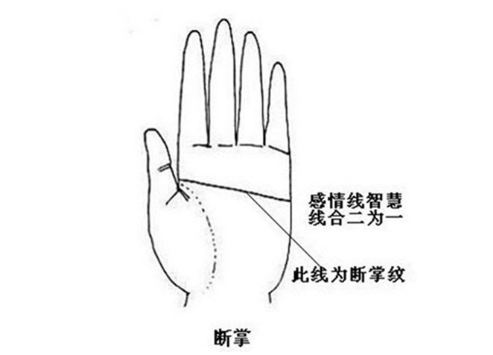 时代不同,“断掌”也有新解释! 手相面相