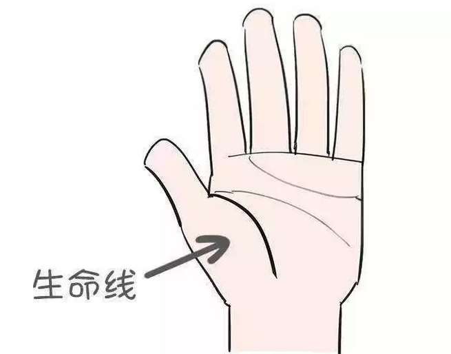 手相生命线分叉代表了什么