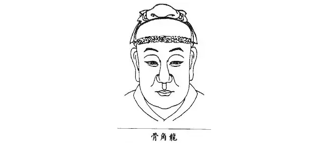骨相学:龙角骨龙角骨是由两眉上方向两边伸展突出的骨,此人行事果断